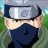 GreyBrawler401