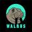 Walrus