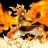 Natsu Dragneel