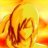 Aurum Sun
