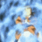 zenatyoucan